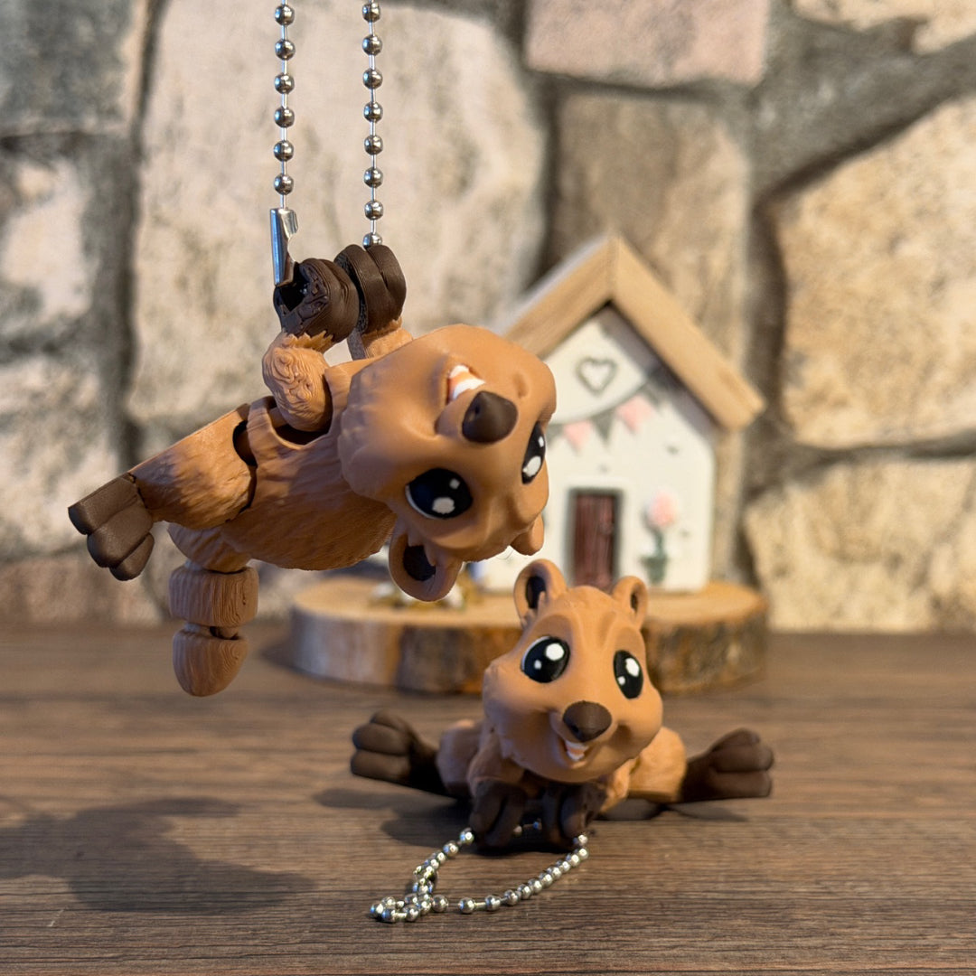 Quokka
