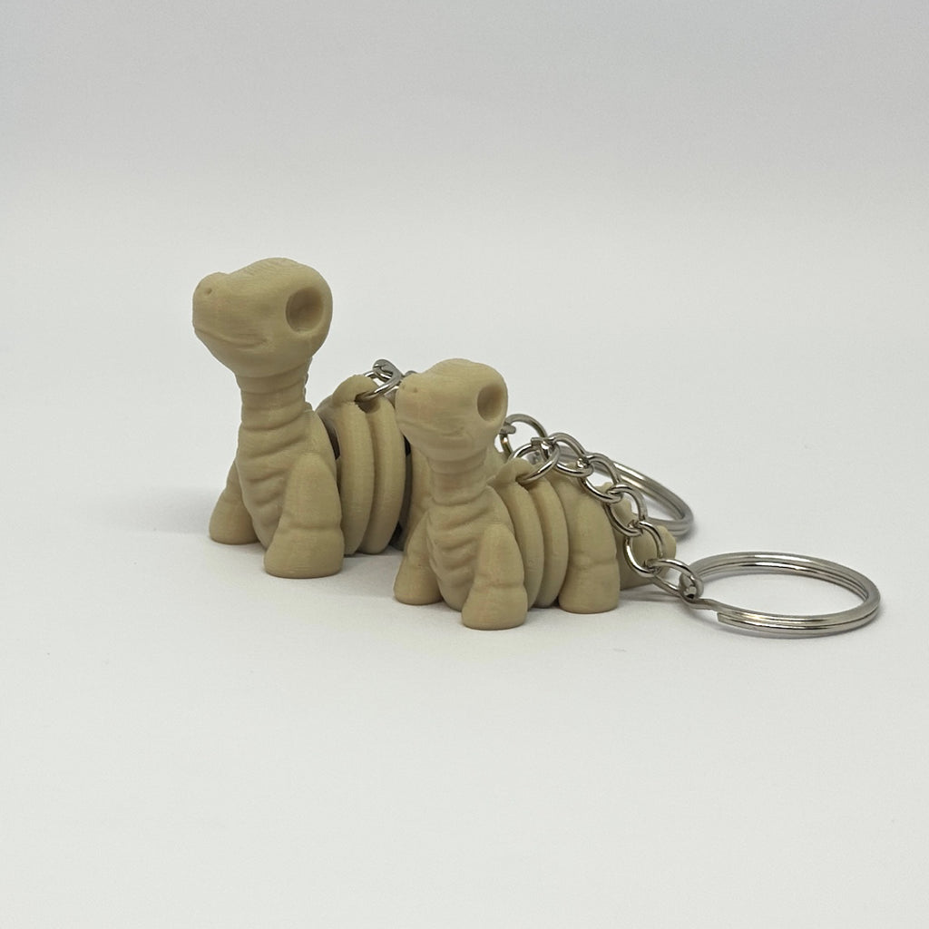 Baby Brontosaurus Skeleton