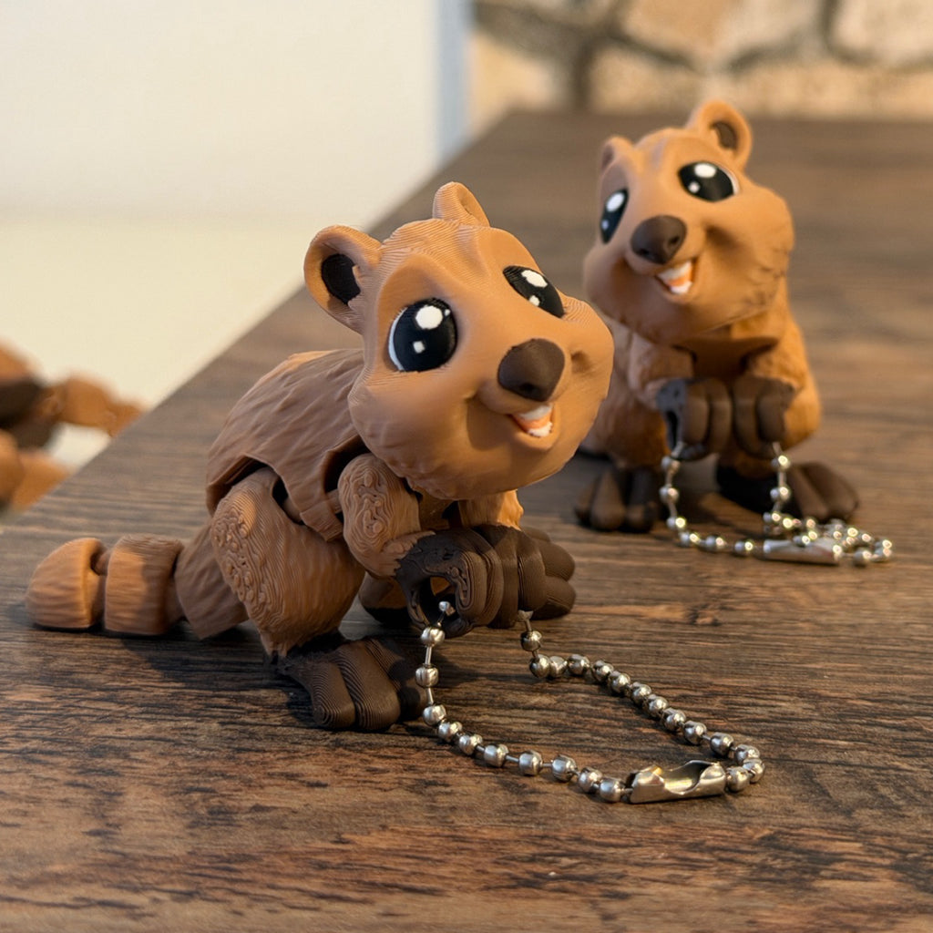 Quokka