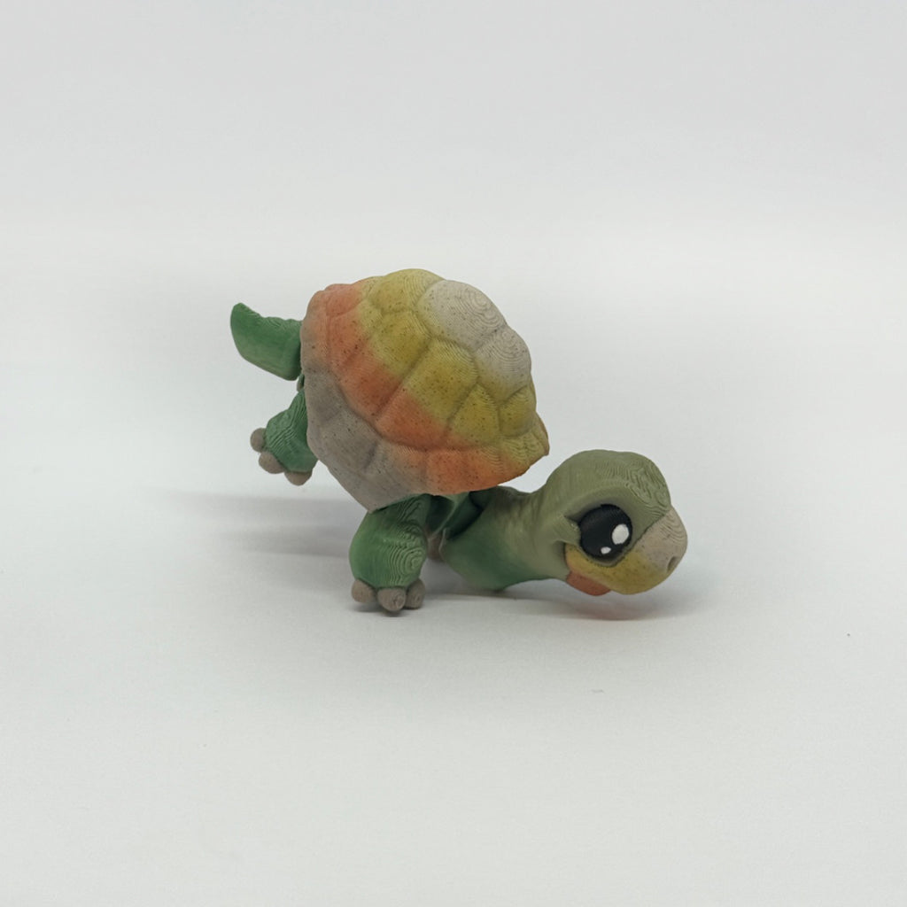 Kleine Schildkröte