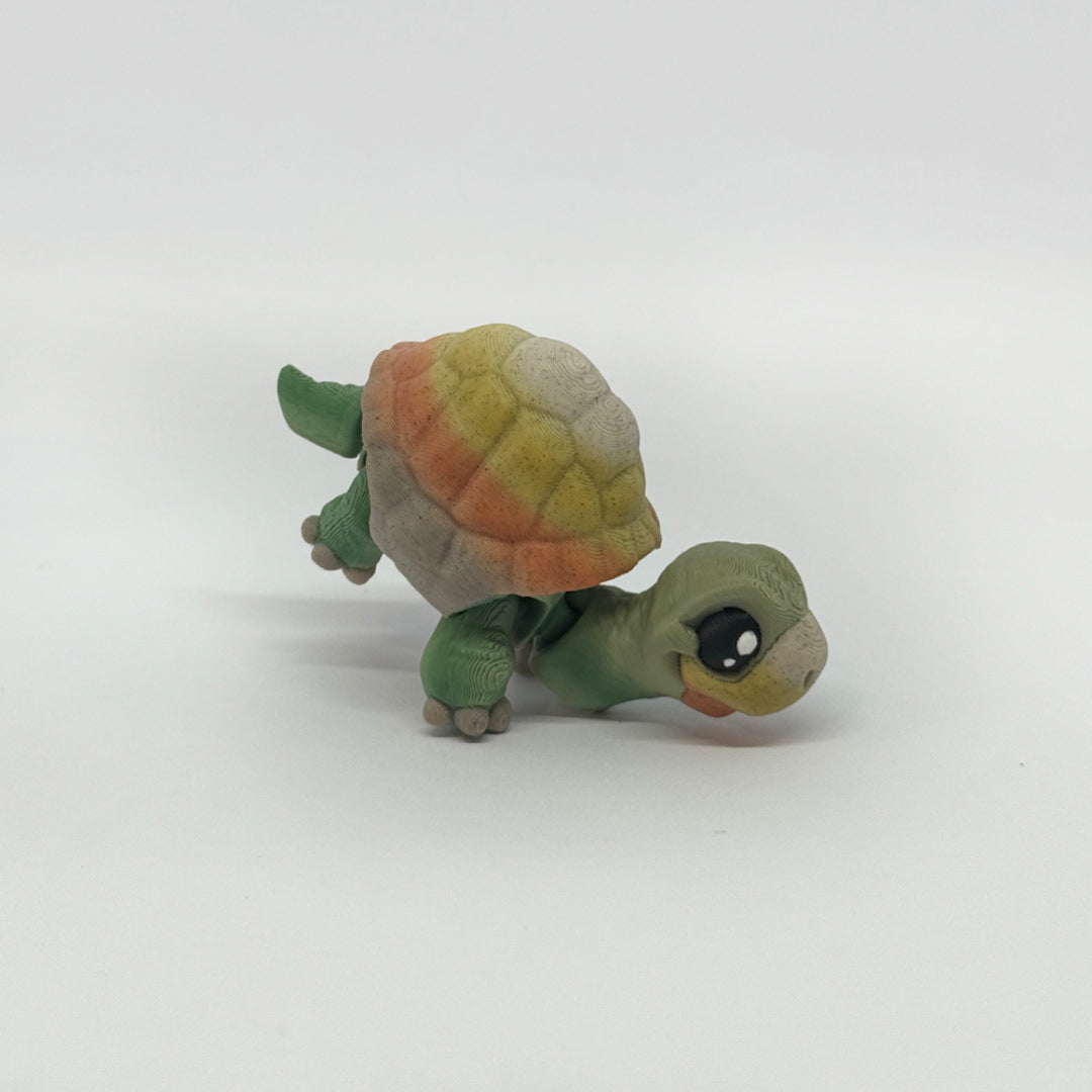 Kleine Schildkröte