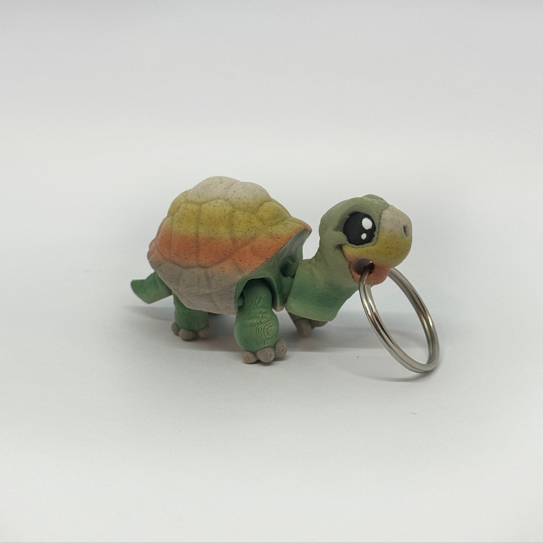 Kleine Schildkröte