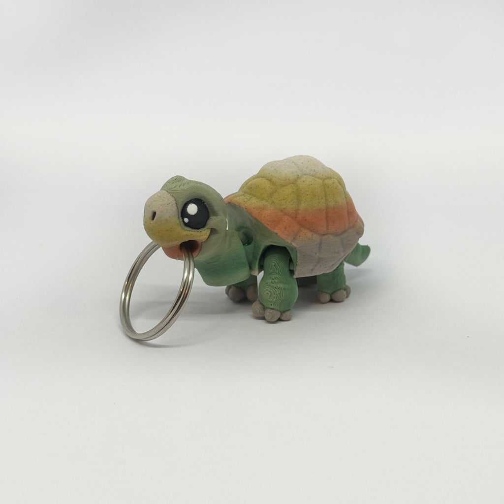 Kleine Schildkröte