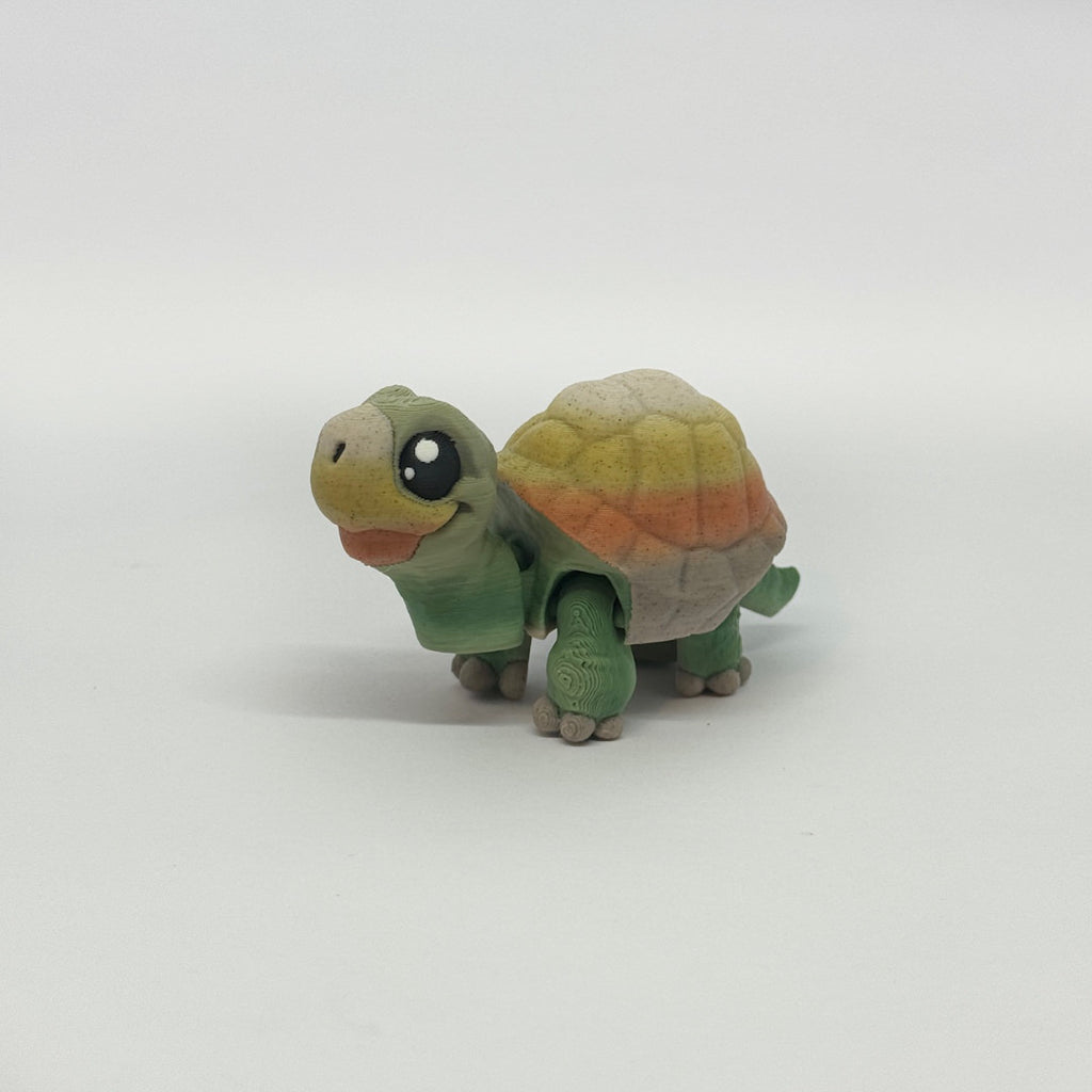 Kleine Schildkröte