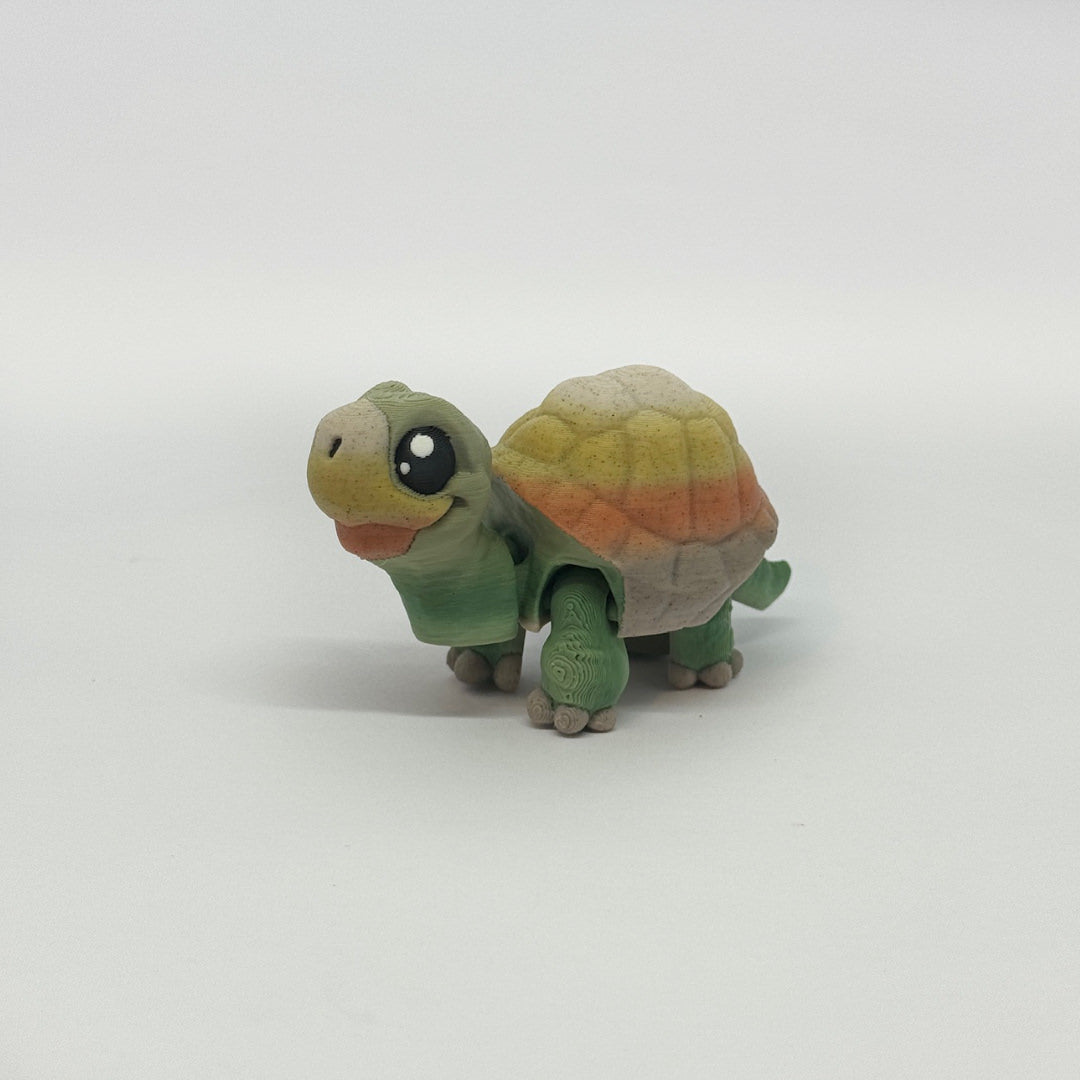 Kleine Schildkröte