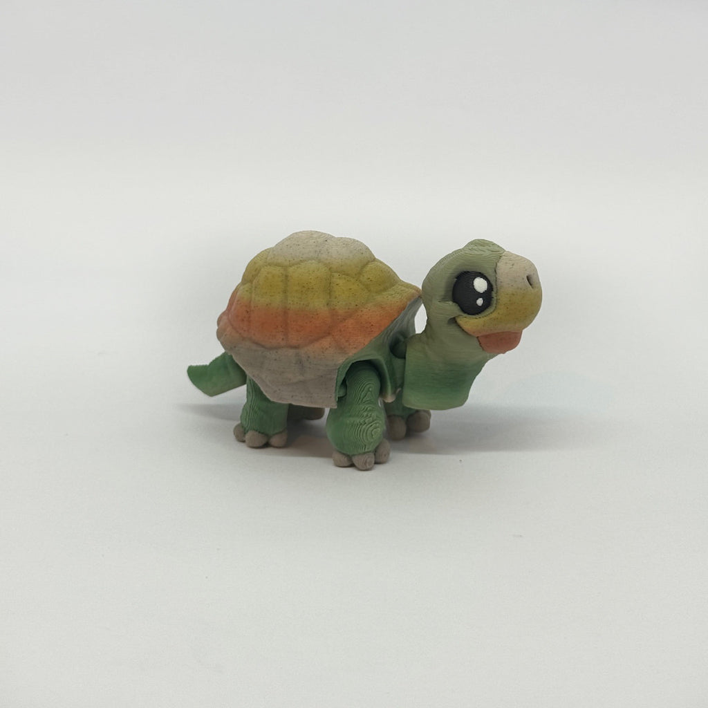 Kleine Schildkröte