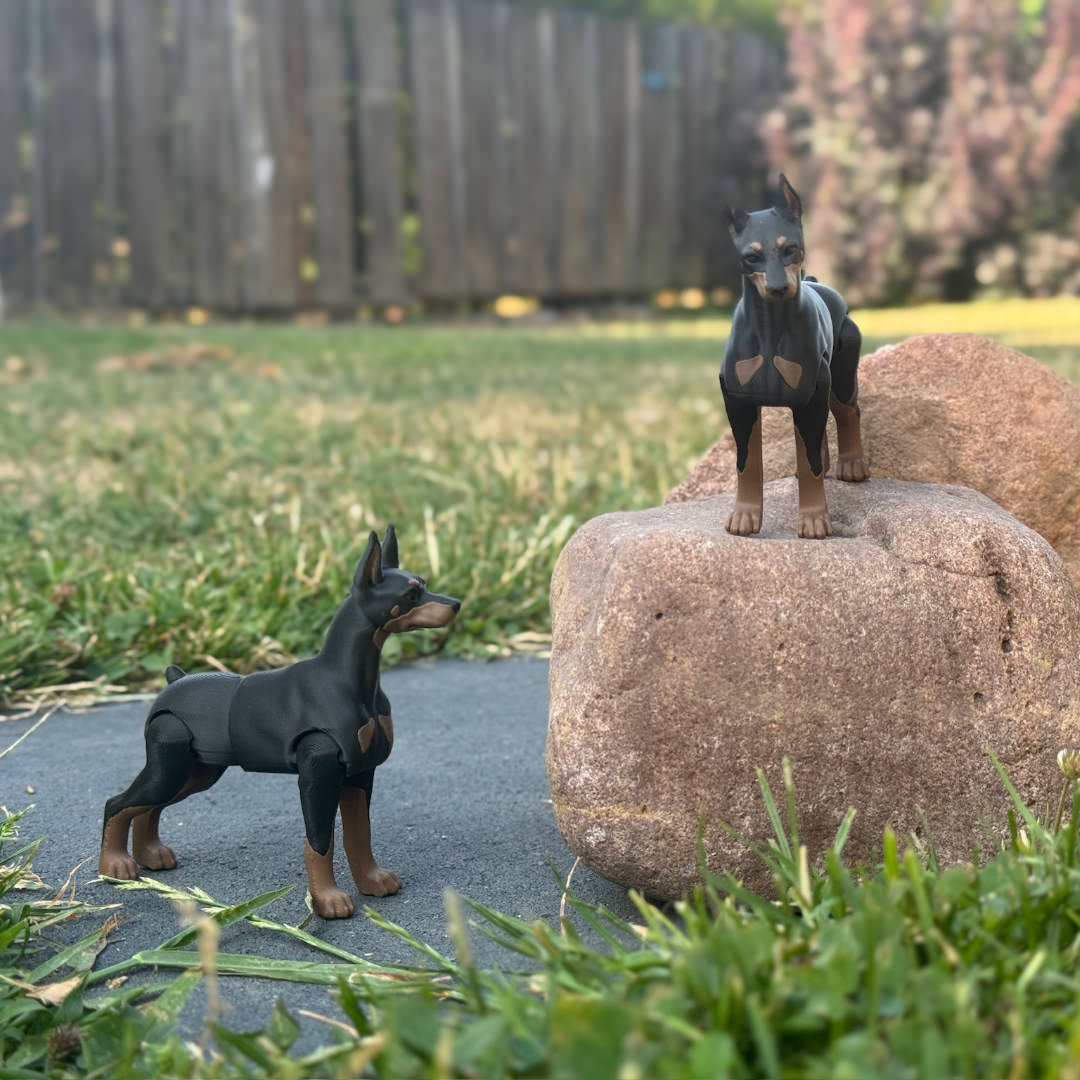 Dobermann