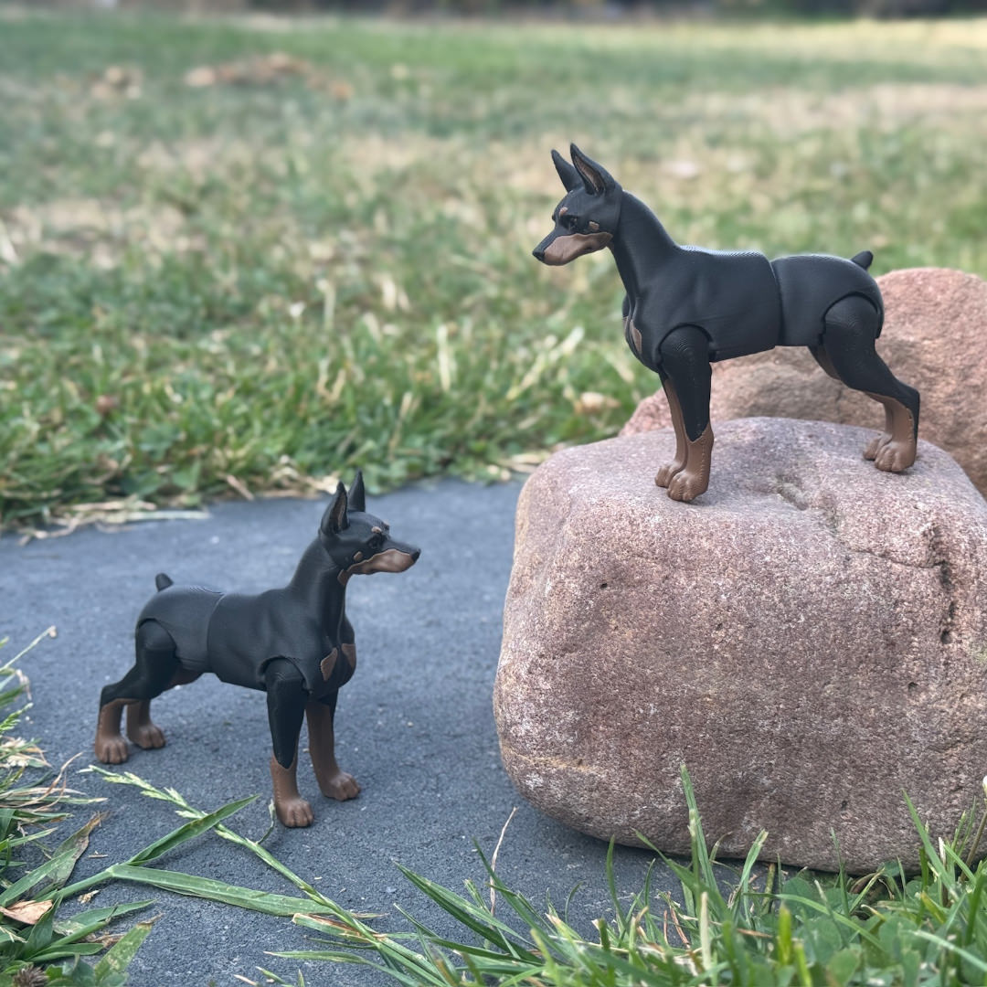 Dobermann