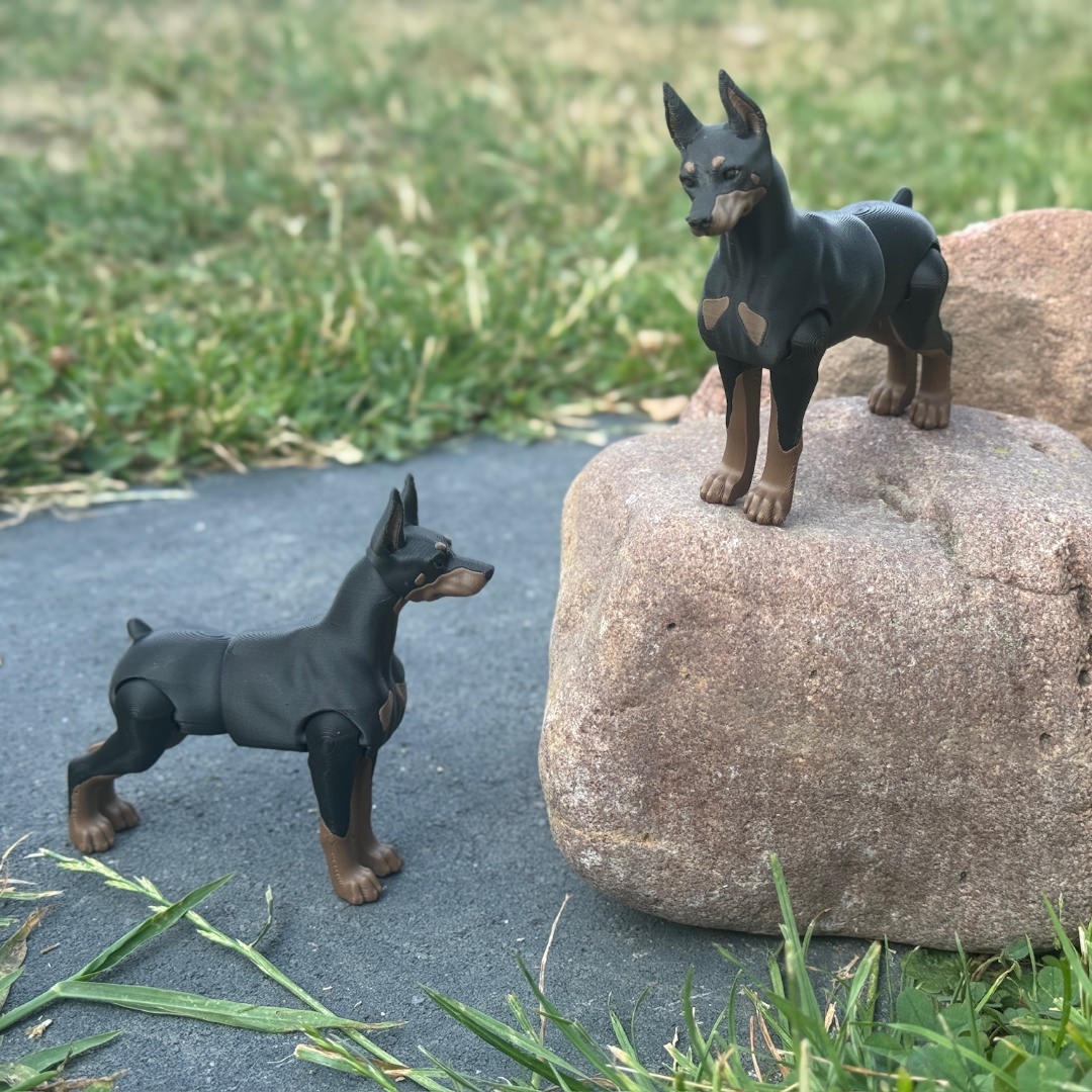 Dobermann