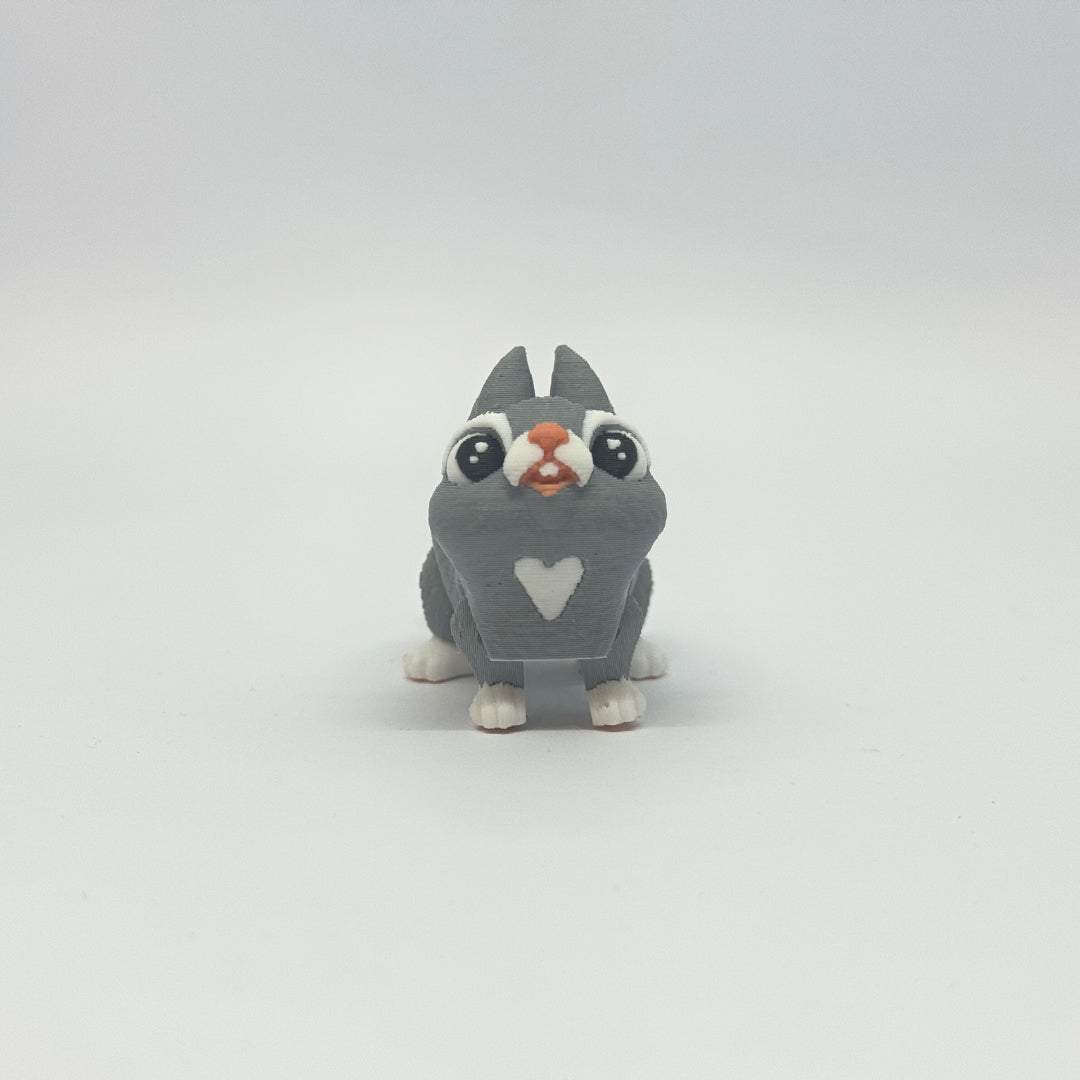 Baby Bunny