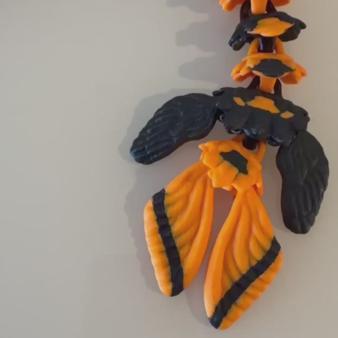 Death’s-head Moth Dragon