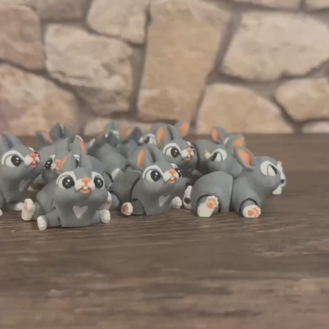 Baby Bunny