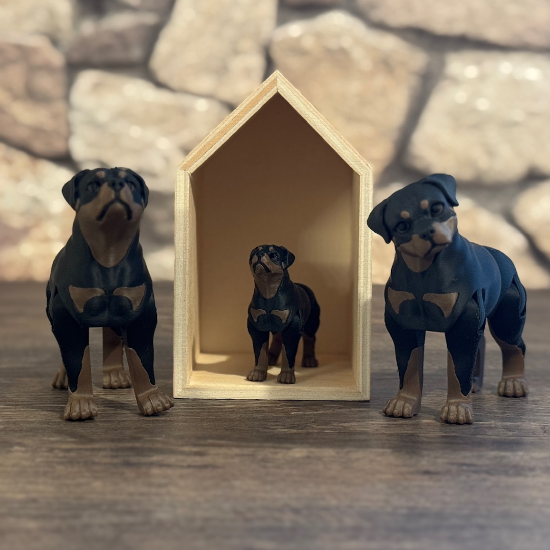 Rottweiler