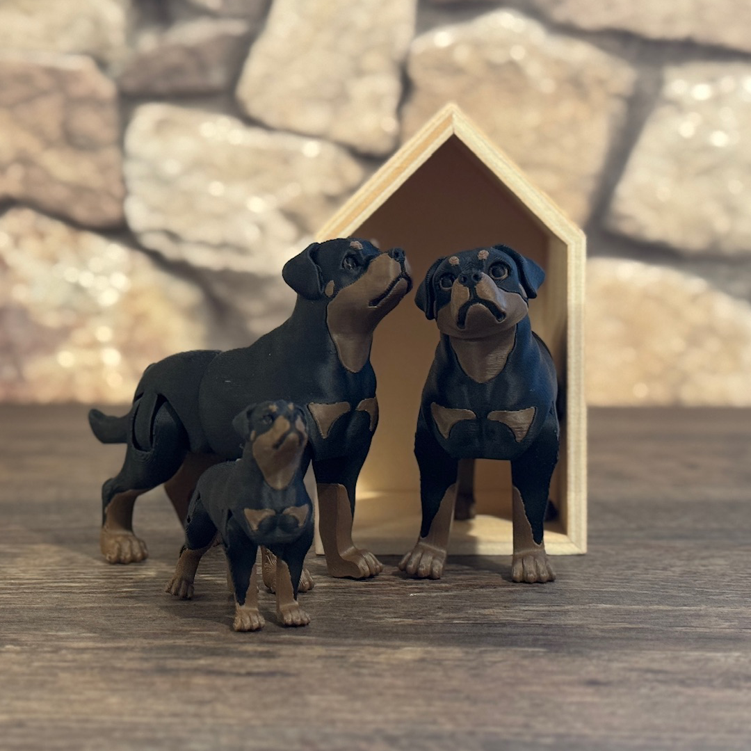 Rottweiler