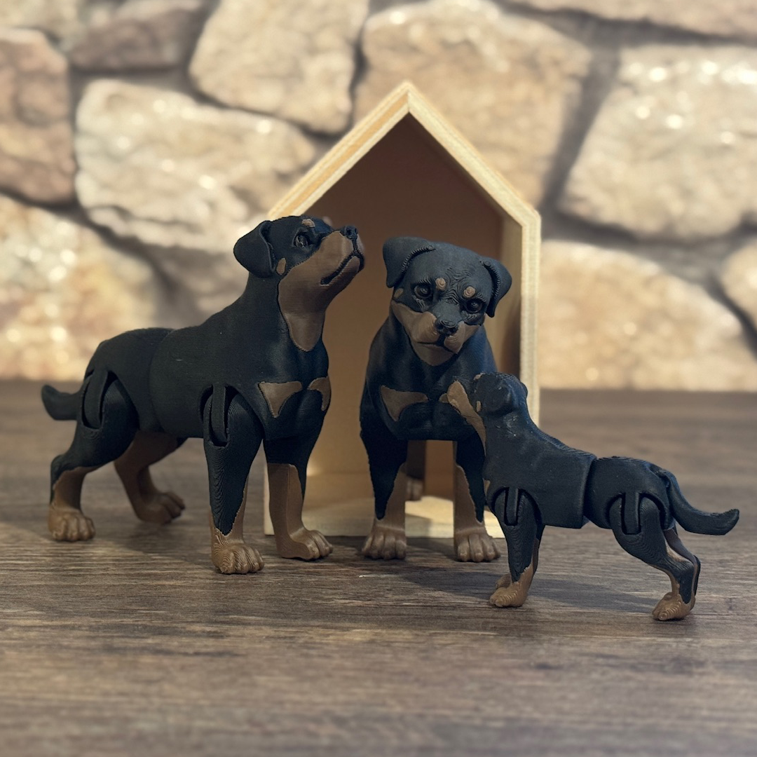 Rottweiler