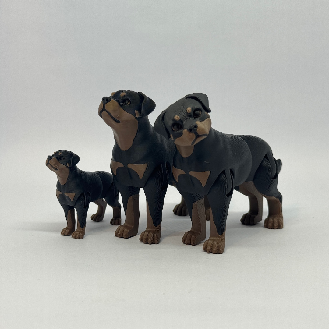 Rottweiler
