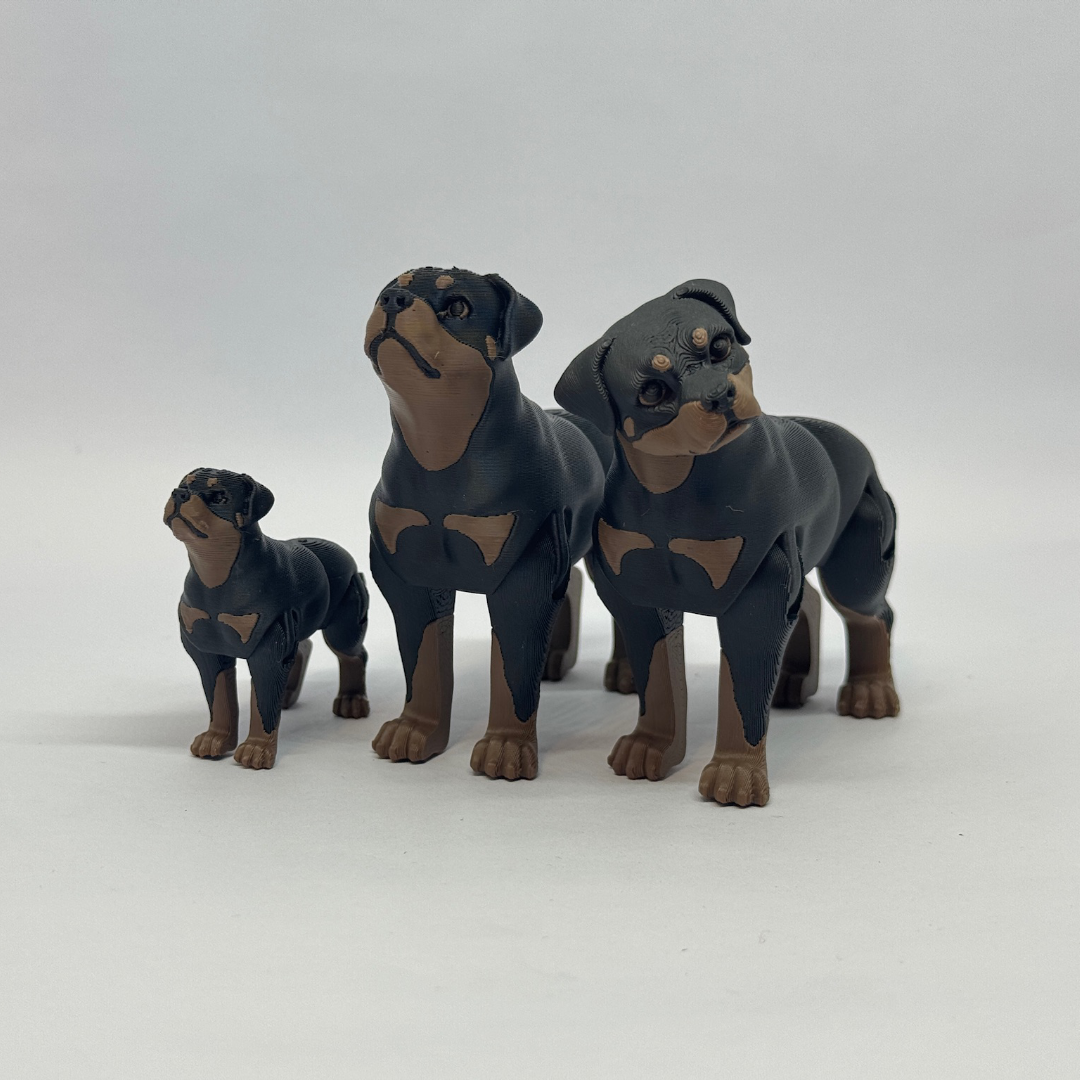Rottweiler