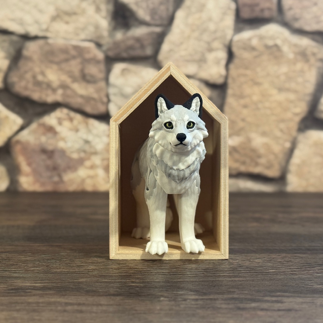 Wolf